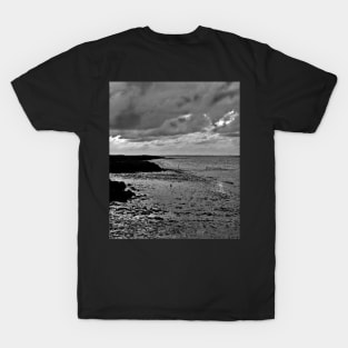 River to the open Danish Sea T-Shirt